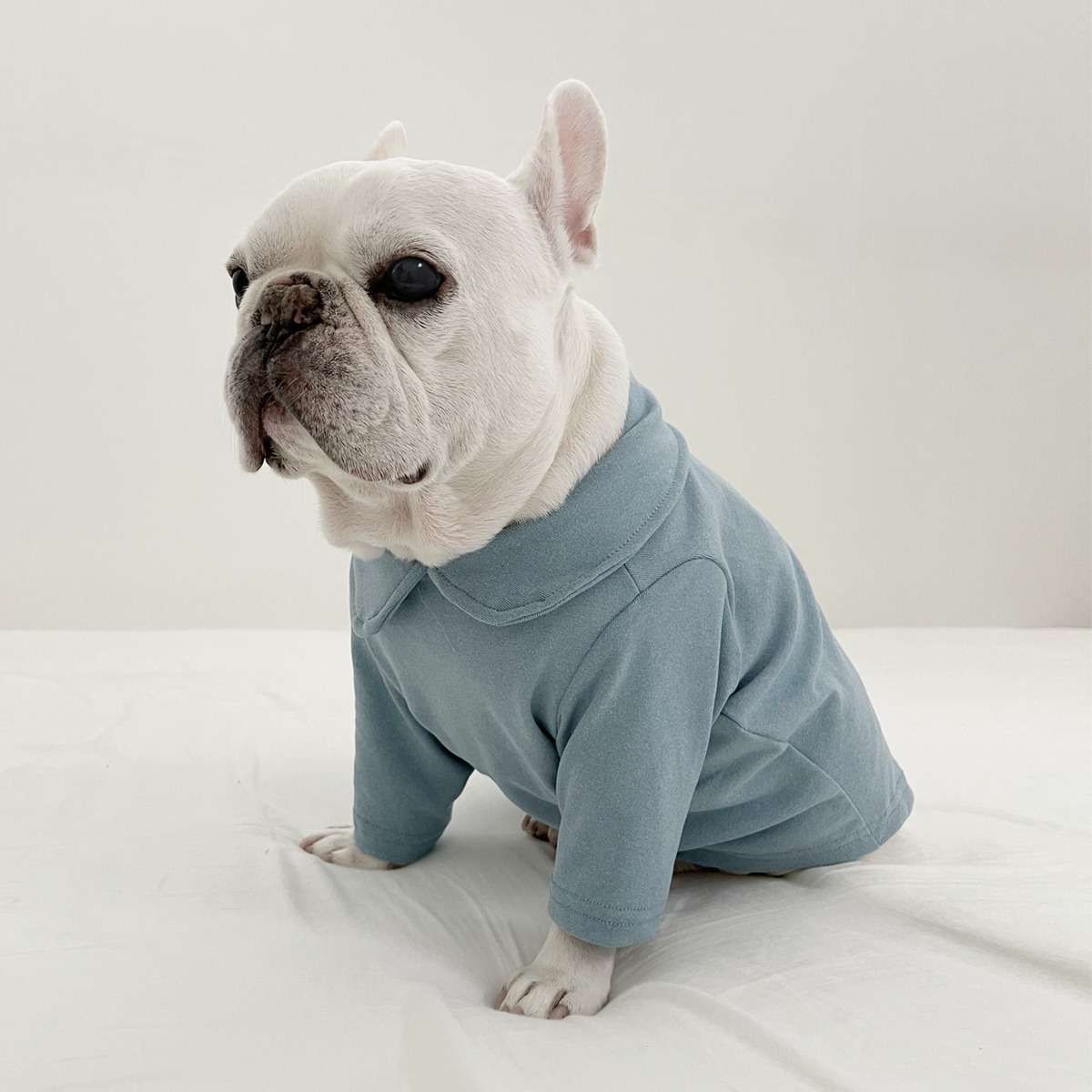 ロンパースをはじめとした人気アイテムを取り扱う犬服の通販