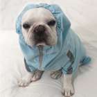 雨の日にオシャレな犬服「かわいい新作レインコート」